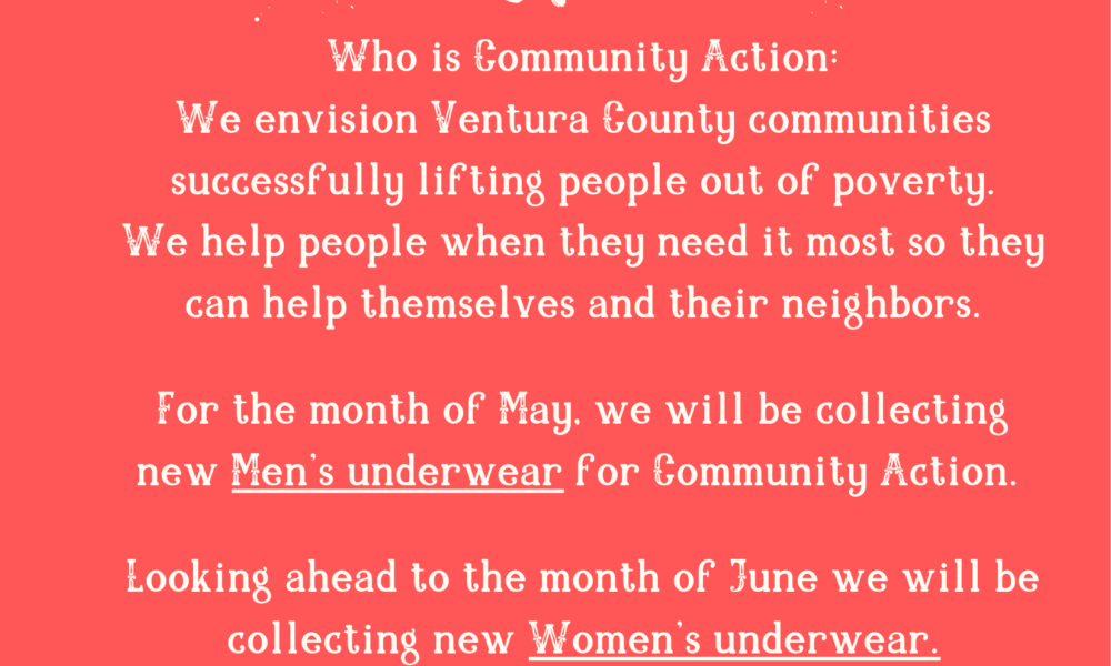 community action (3)