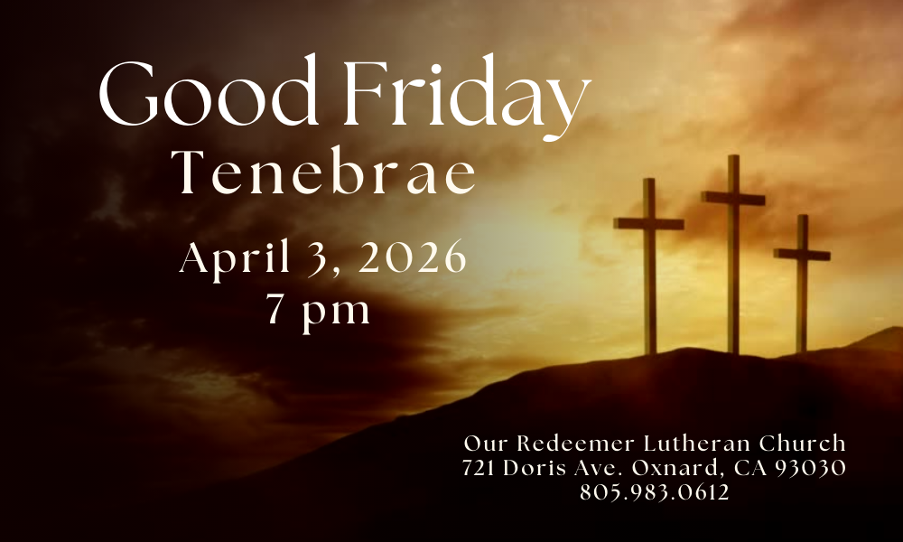 Palm Sunday (7) Palm Sunday (7)